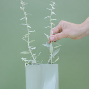 White Flower